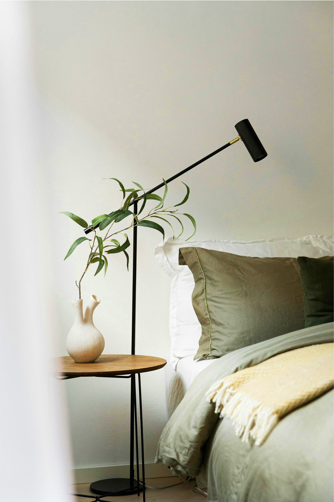 a plant in a vase on a table