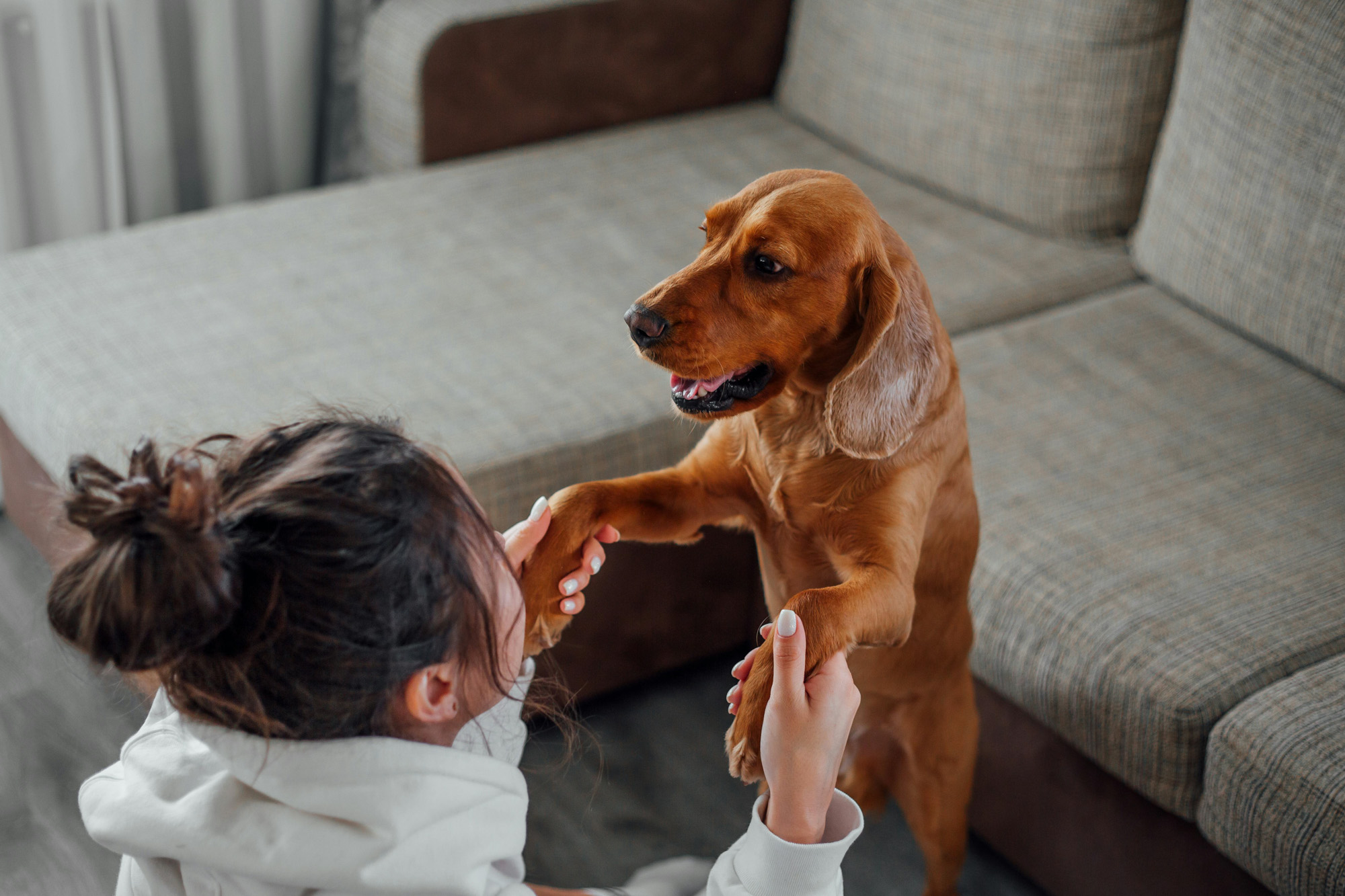 a woman holding a dog up to her paw